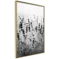 Miniatyrbild 1 av 11: Inramad Poster / Tavla - Shadow of Meadow