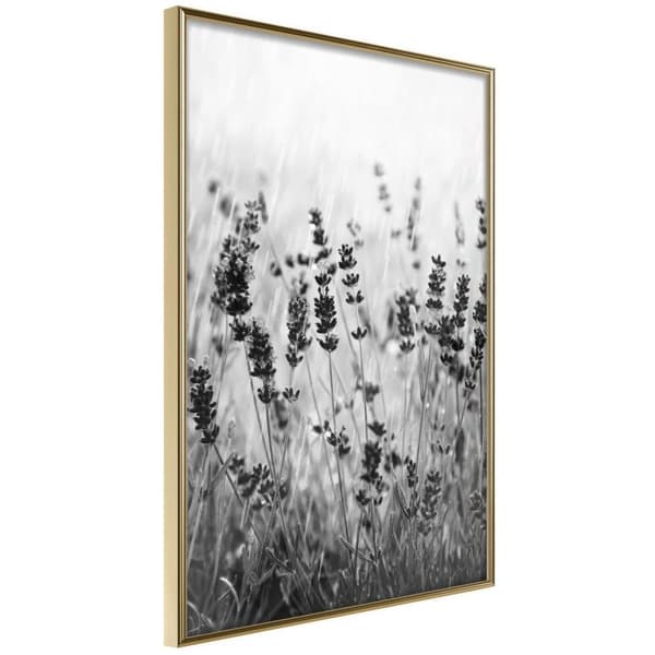 Inramad Poster / Tavla - Shadow of Meadow