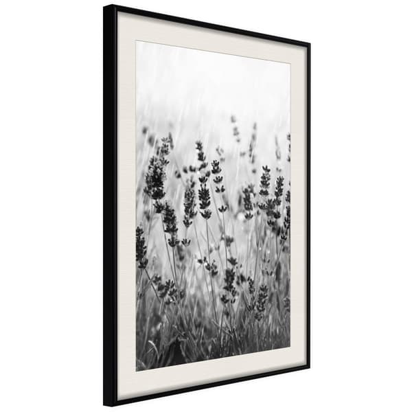 Inramad Poster / Tavla - Shadow of Meadow