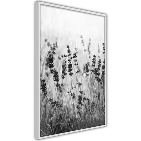 Inramad Poster / Tavla - Shadow of Meadow