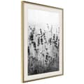Miniatyrbild 9 av 11: Inramad Poster / Tavla - Shadow of Meadow