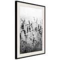 Miniatyrbild 4 av 11: Inramad Poster / Tavla - Shadow of Meadow