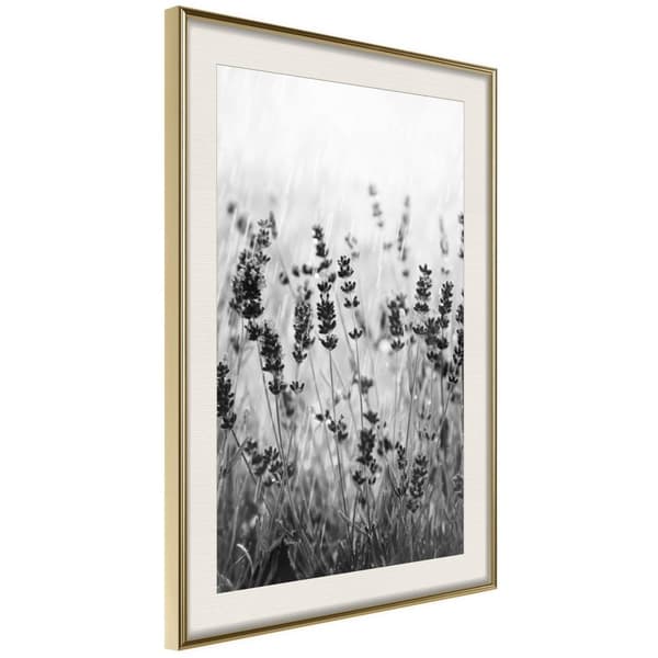 Inramad Poster / Tavla - Shadow of Meadow