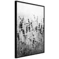 Miniatyrbild 1 av 11: Inramad Poster / Tavla - Shadow of Meadow