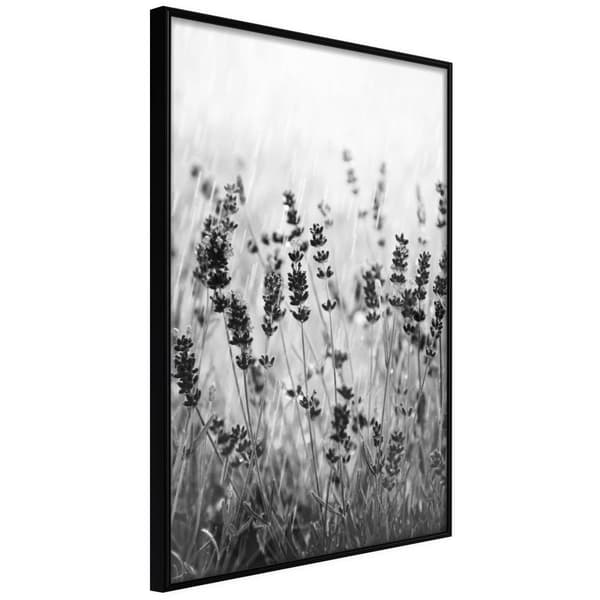 Inramad Poster / Tavla - Shadow of Meadow
