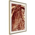 Miniatyrbild 1 av 11: Inramad Poster / Tavla - Asian Forest