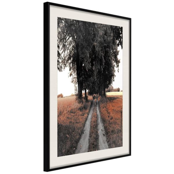 Inramad Poster / Tavla - Field Path
