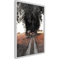 Miniatyrbild 9 av 11: Inramad Poster / Tavla - Field Path