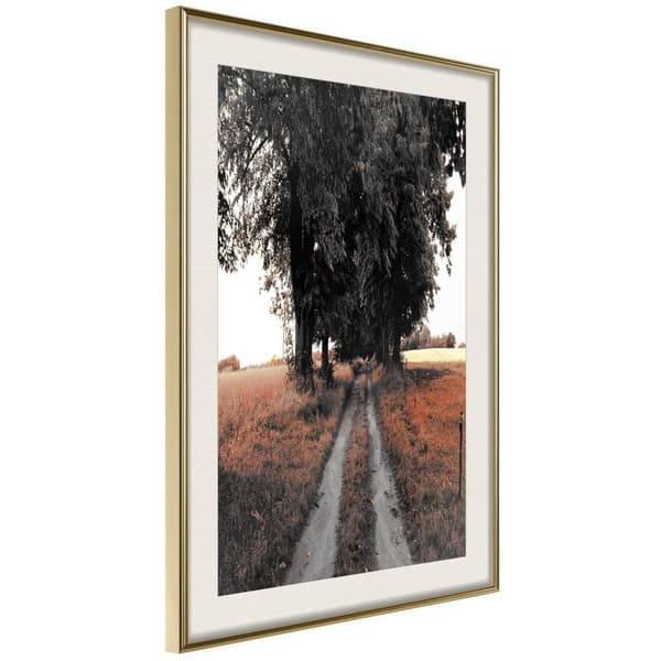 Inramad Poster / Tavla - Field Path Guldram med passepartout 20x30