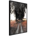 Miniatyrbild 2 av 11: Inramad Poster / Tavla - Field Path
