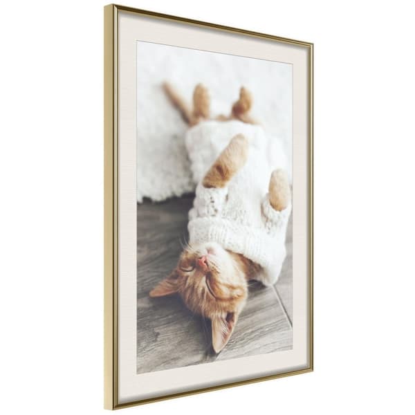 Inramad Poster / Tavla - Kitten Life