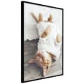 Miniatyrbild 2 av 11: Inramad Poster / Tavla - Kitten Life