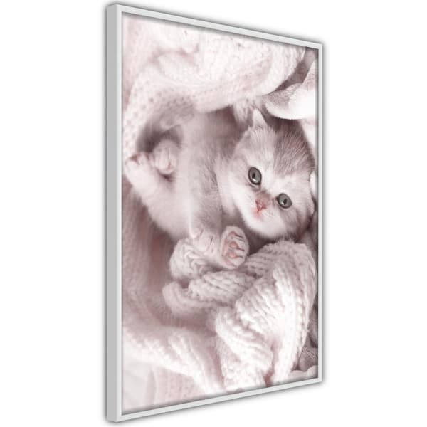 Inramad Poster / Tavla - Tangled in Sweater Vit ram 20x30