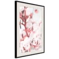 Miniatyrbild 5 av 11: Inramad Poster / Tavla - Cotton Flowers