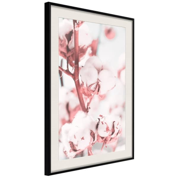 Inramad Poster / Tavla - Cotton Flowers