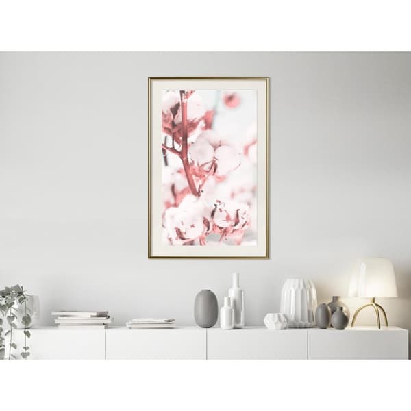 Inramad Poster / Tavla - Cotton Flowers