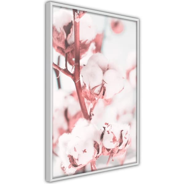Inramad Poster / Tavla - Cotton Flowers