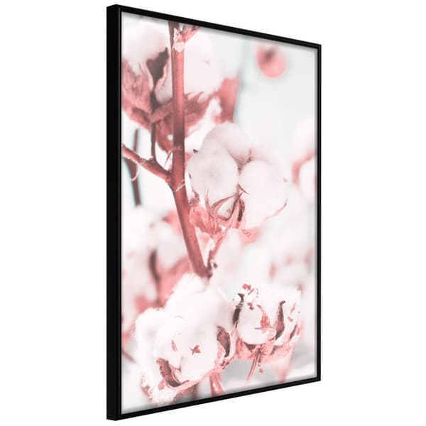 Inramad Poster / Tavla - Cotton Flowers