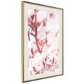 Miniatyrbild 1 av 11: Inramad Poster / Tavla - Cotton Flowers