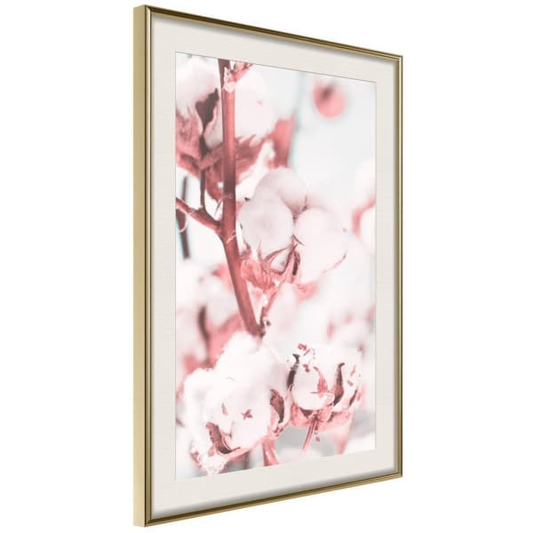 Inramad Poster / Tavla - Cotton Flowers Guldram med passepartout 40x60