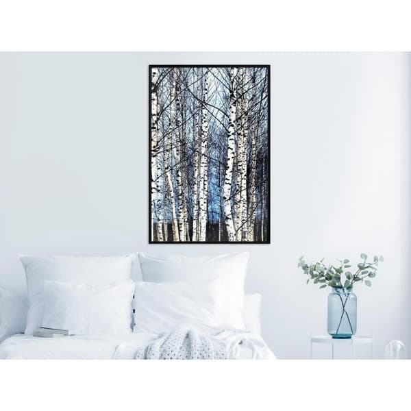 Inramad Poster / Tavla - Winter Birch Trees