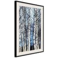 Miniatyrbild 5 av 11: Inramad Poster / Tavla - Winter Birch Trees