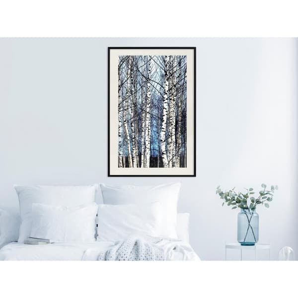 Inramad Poster / Tavla - Winter Birch Trees