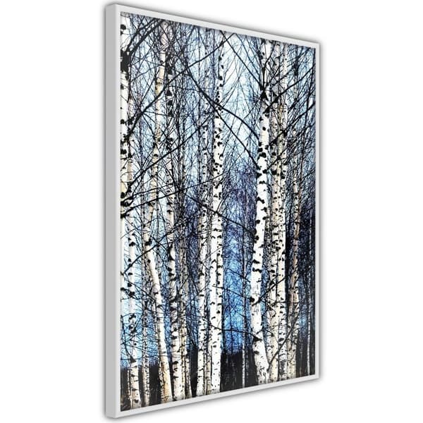 Inramad Poster / Tavla - Winter Birch Trees