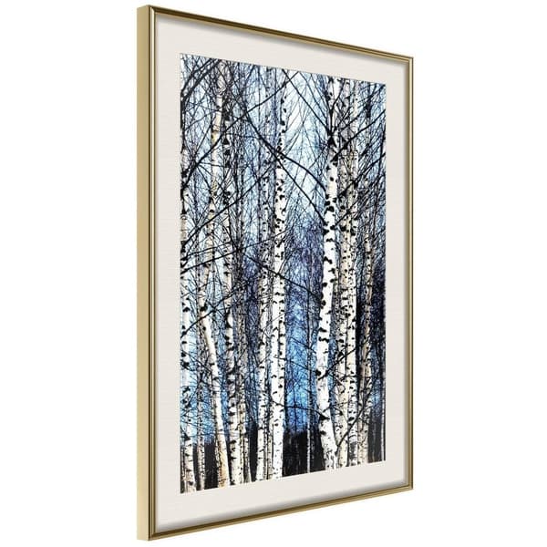 Inramad Poster / Tavla - Winter Birch Trees