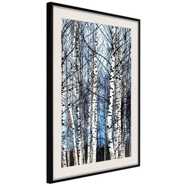 Inramad Poster / Tavla - Winter Birch Trees Svart ram med passepartout 30x45