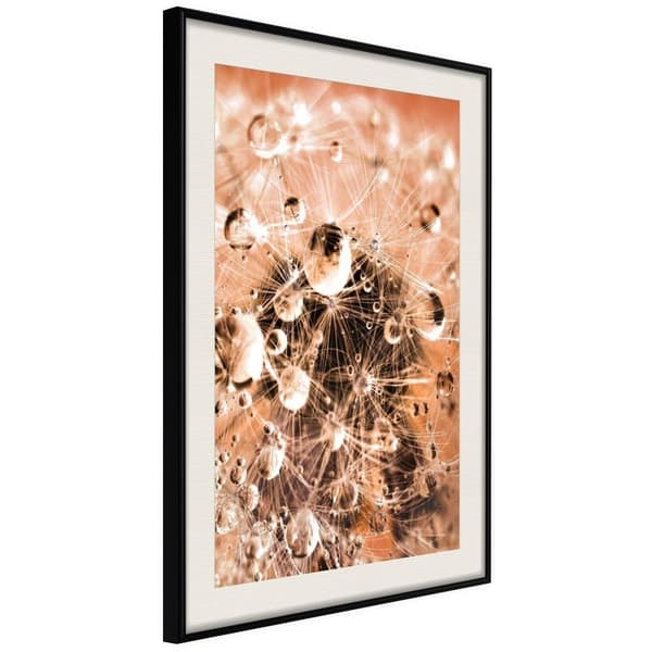 Inramad Poster / Tavla - Drops on Dandelion