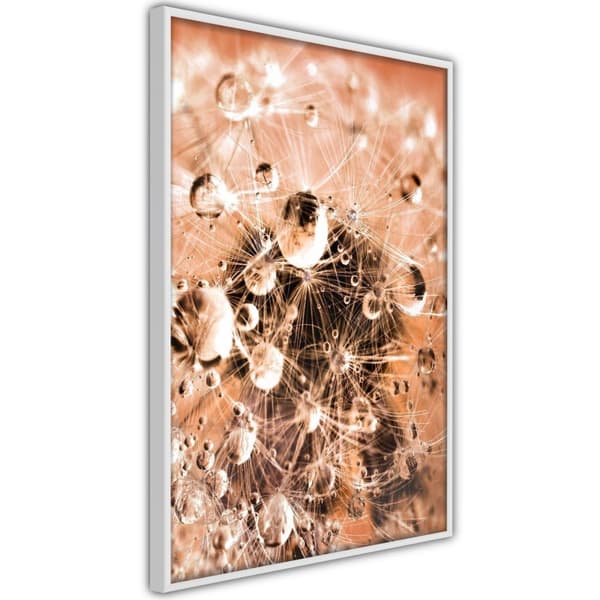 Inramad Poster / Tavla - Drops on Dandelion