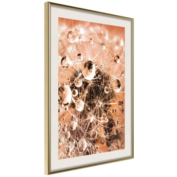 Inramad Poster / Tavla - Drops on Dandelion