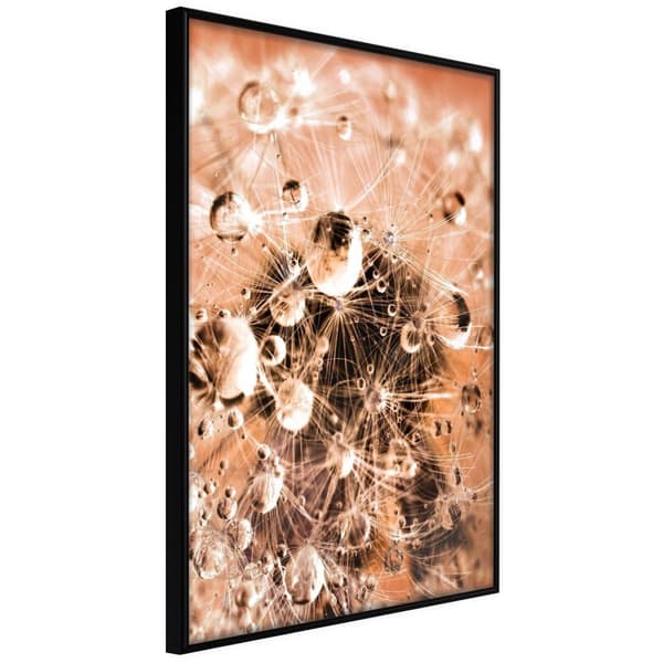 Inramad Poster / Tavla - Drops on Dandelion
