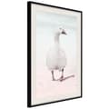 Miniatyrbild 5 av 11: Inramad Poster / Tavla - Walking Goose