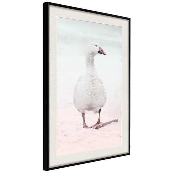Inramad Poster / Tavla - Walking Goose