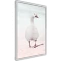 Miniatyrbild 9 av 11: Inramad Poster / Tavla - Walking Goose