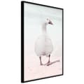 Miniatyrbild 2 av 11: Inramad Poster / Tavla - Walking Goose