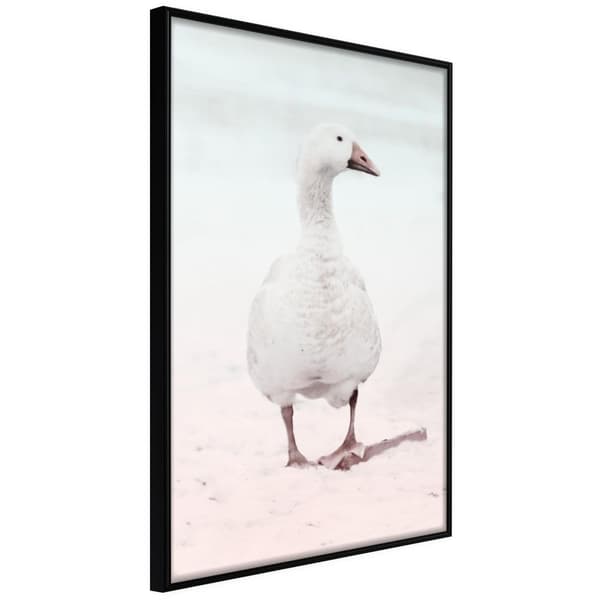 Inramad Poster / Tavla - Walking Goose