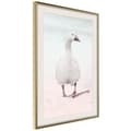 Miniatyrbild 1 av 11: Inramad Poster / Tavla - Walking Goose