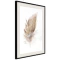Miniatyrbild 4 av 11: Inramad Poster / Tavla - Lost Feather (Beige)