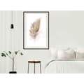 Miniatyrbild 6 av 11: Inramad Poster / Tavla - Lost Feather (Beige)