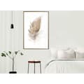 Miniatyrbild 11 av 11: Inramad Poster / Tavla - Lost Feather (Beige)