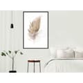 Miniatyrbild 2 av 11: Inramad Poster / Tavla - Lost Feather (Beige)