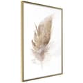 Miniatyrbild 1 av 11: Inramad Poster / Tavla - Lost Feather (Beige)