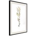 Miniatyrbild 5 av 11: Inramad Poster / Tavla - Fragment of Nature