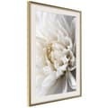 Miniatyrbild 9 av 11: Inramad Poster / Tavla - Peace of Mind