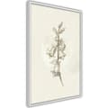 Miniatyrbild 9 av 11: Inramad Poster / Tavla - Beige Campanula