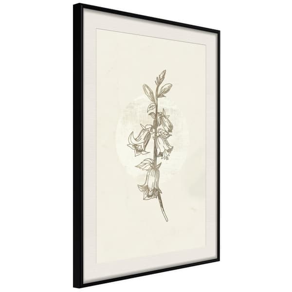 Inramad Poster / Tavla - Beige Campanula Svart ram med passepartout 40x60