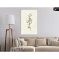 Miniatyrbild 11 av 11: Inramad Poster / Tavla - Beige Campanula